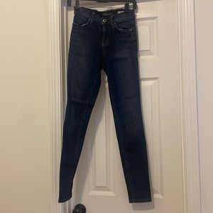 Level 99 Tanya High Rise Skinny Jeans